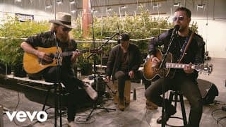 Brothers Osborne - Weed, Whiskey And Willie (Terrapin Care Station Sessions) [Official Video]