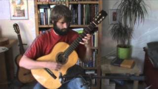 Andreas Maria Marcus - Divinity: Original Sin O.S.T. - Bittersweet Regrets - Guitar Cover