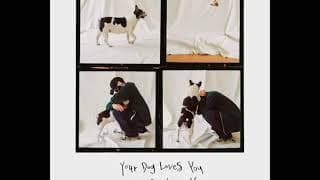 Colde – Your Dog Loves You