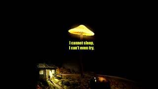 Niil' - Insomnia [Lyric Video]