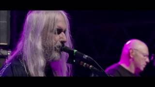 Dinosaur Jr- Feel The Pain