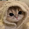 pupsich ltt