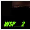 WSP__2