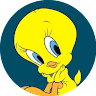 Z Z