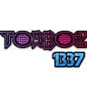 TorBoz 1337
