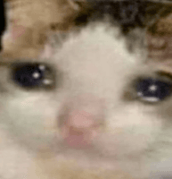 cryingcat_69